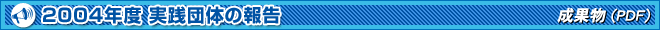 2004NxHĉ̕񍐁`ŏI񍐉(PDF)